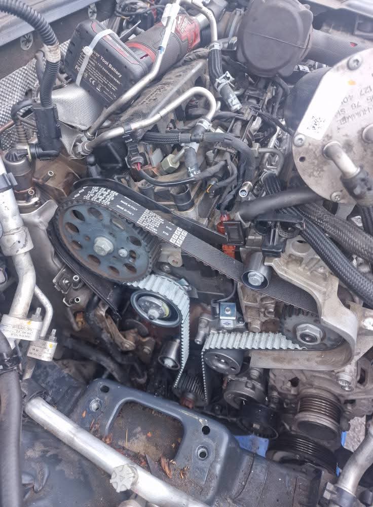 Engine timing belt close up